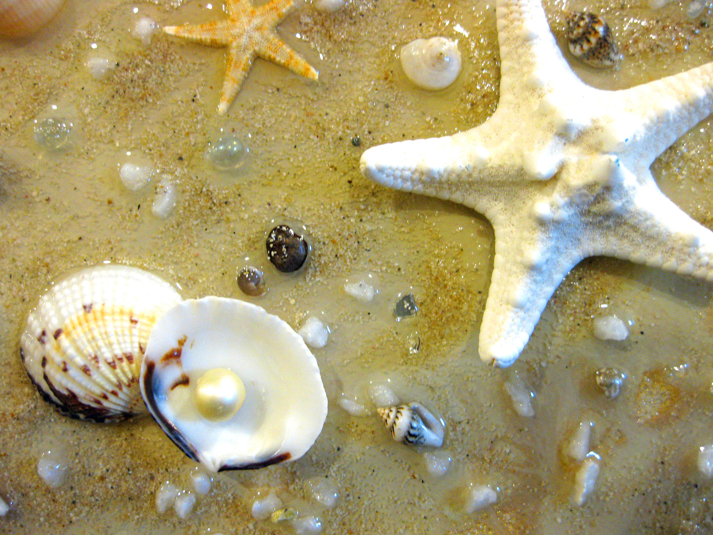 Coastal Themed: "Caribbean Seashore Treasures" Diptych - 10" by 20" by 1.5" (2) Acrylic Paintings (Copy)