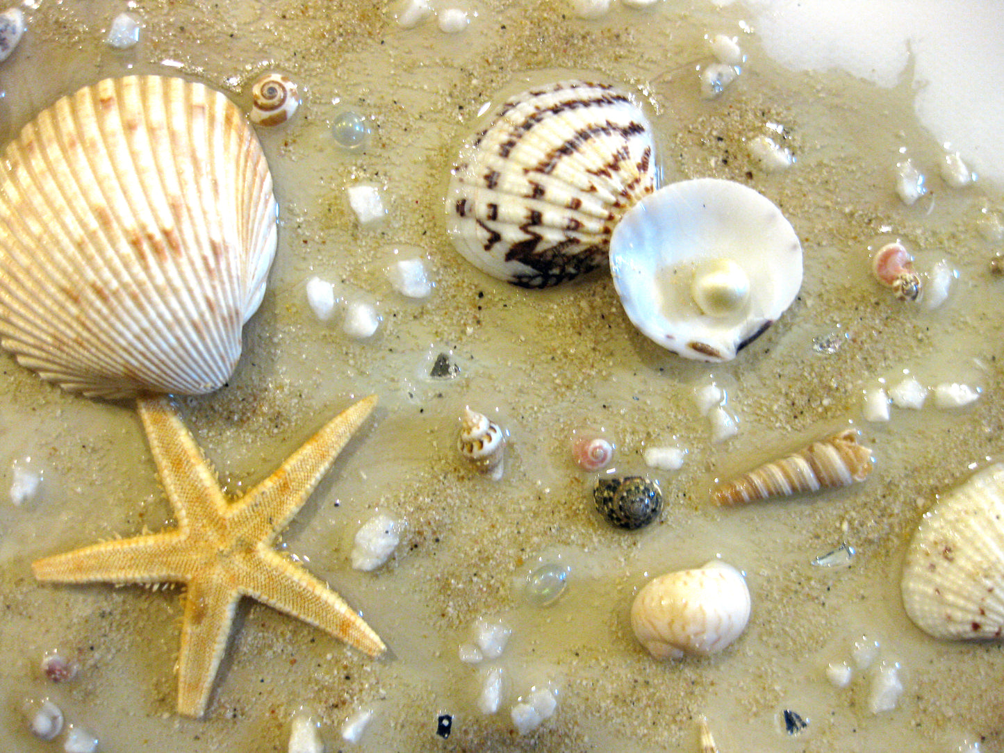 Coastal Themed: "Caribbean Seashore Treasures" Diptych - 10" by 20" by 1.5" (2) Acrylic Paintings (Copy)